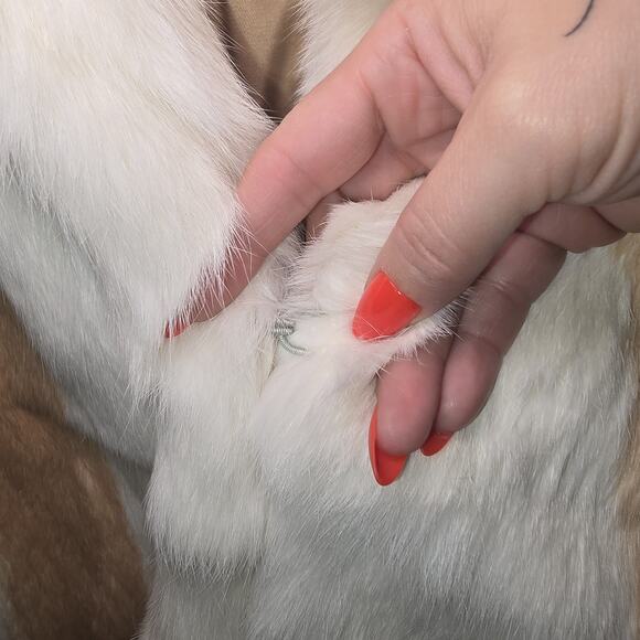 Genuine Rabbit Fur Jacket Cream & Tan French Origin Satin Lined Hook & Eye Med - Picture 5 of 14